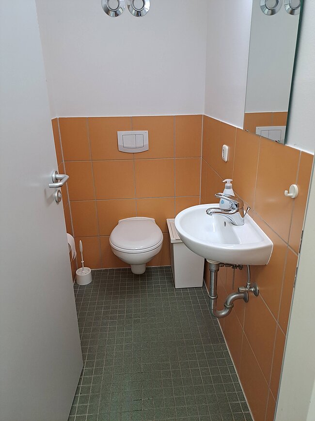 Ein kleines Badezimmer mit orangefarbenen Fliesen an den Wänden und grünen Fliesen auf dem Boden. Es enthält eine Toilette, ein Waschbecken mit Armatur und einem Seifenspender. An der Wand befindet sich ein Toilettenpapphalter mit einer Rolle. Ein Spiegel ist an der Tür angebracht.