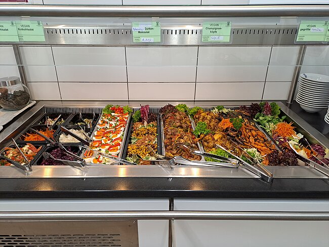 Salatbar mit mehreren veganen Gerichten: Gemüsepfanne mit Paprika und Karotten, Nudeln mit Gemüse, Salate mit Reis und verschiedenen Beilagen, dazu Servierlöffel und Schüsseln.